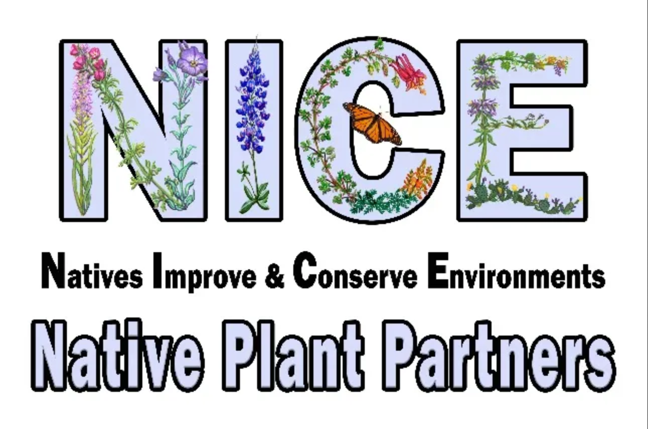 Native Gardeners partner with the N.I.C.E plant program at NPSOT