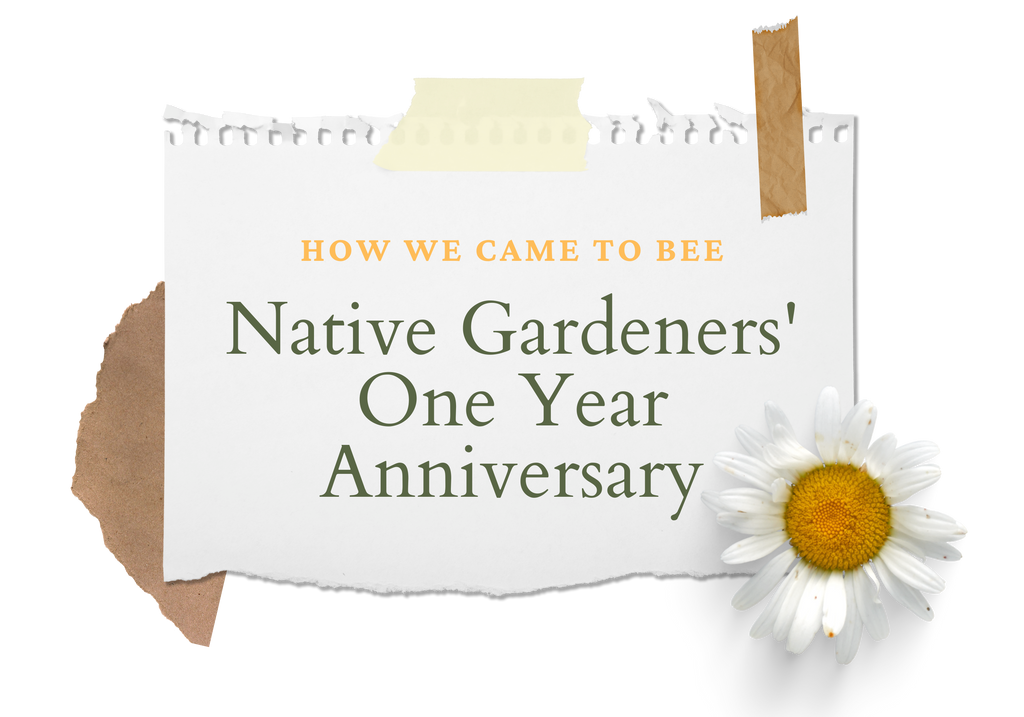 How We Came to Bee, Native Gardeners' One Year Anniversary