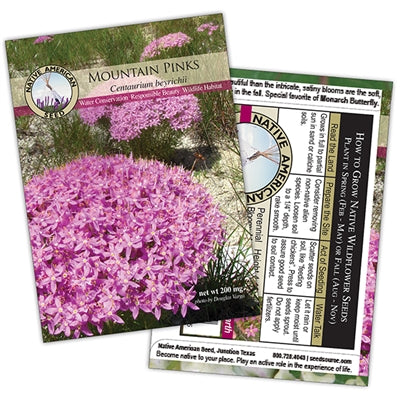 Mountain Pinks-Seed Packet