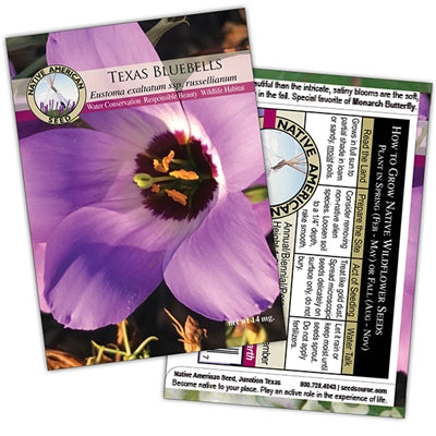 Texas Bluebells Seed Packet