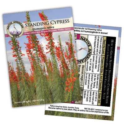 Standing Cypress - Seed Packet