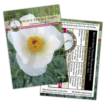 White Prickly Poppy - Seed Packet